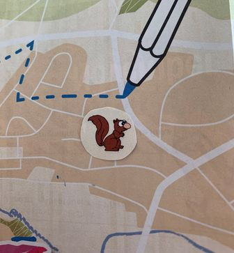 gezeichneter Stadtplanausschnitt mit Eichhörnchen