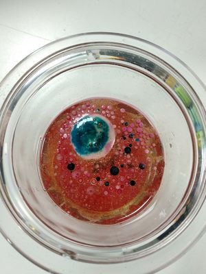 Glas mit bunt gefärbtem Wasser-Ölgemisch