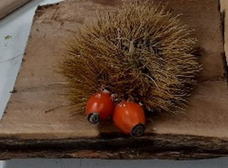 aus verschiedenen Naturmaterialien gestaltete Figur