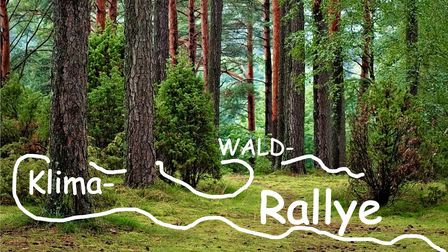 Foto eines Waldes mit der Beschriftung Wald-Klima-Rallye