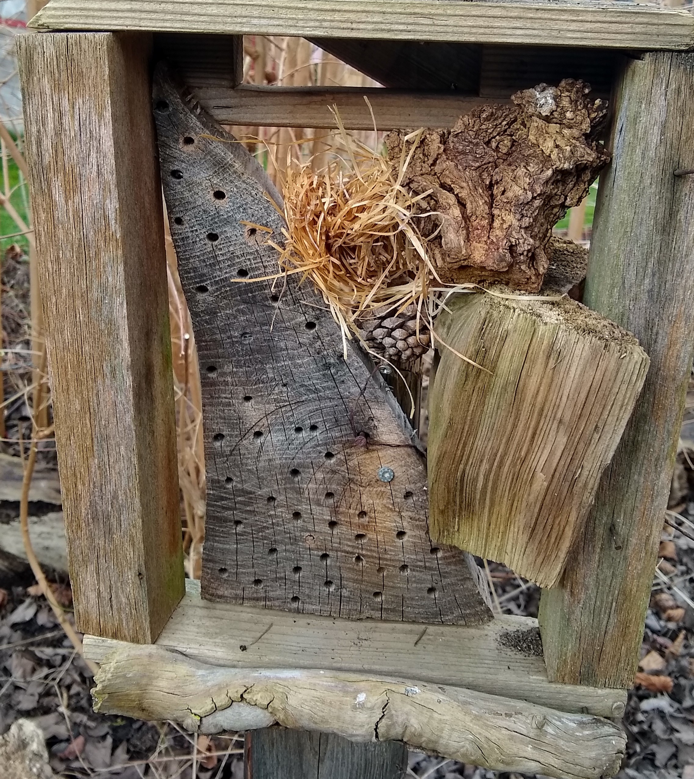 Bild zur Veranstaltung