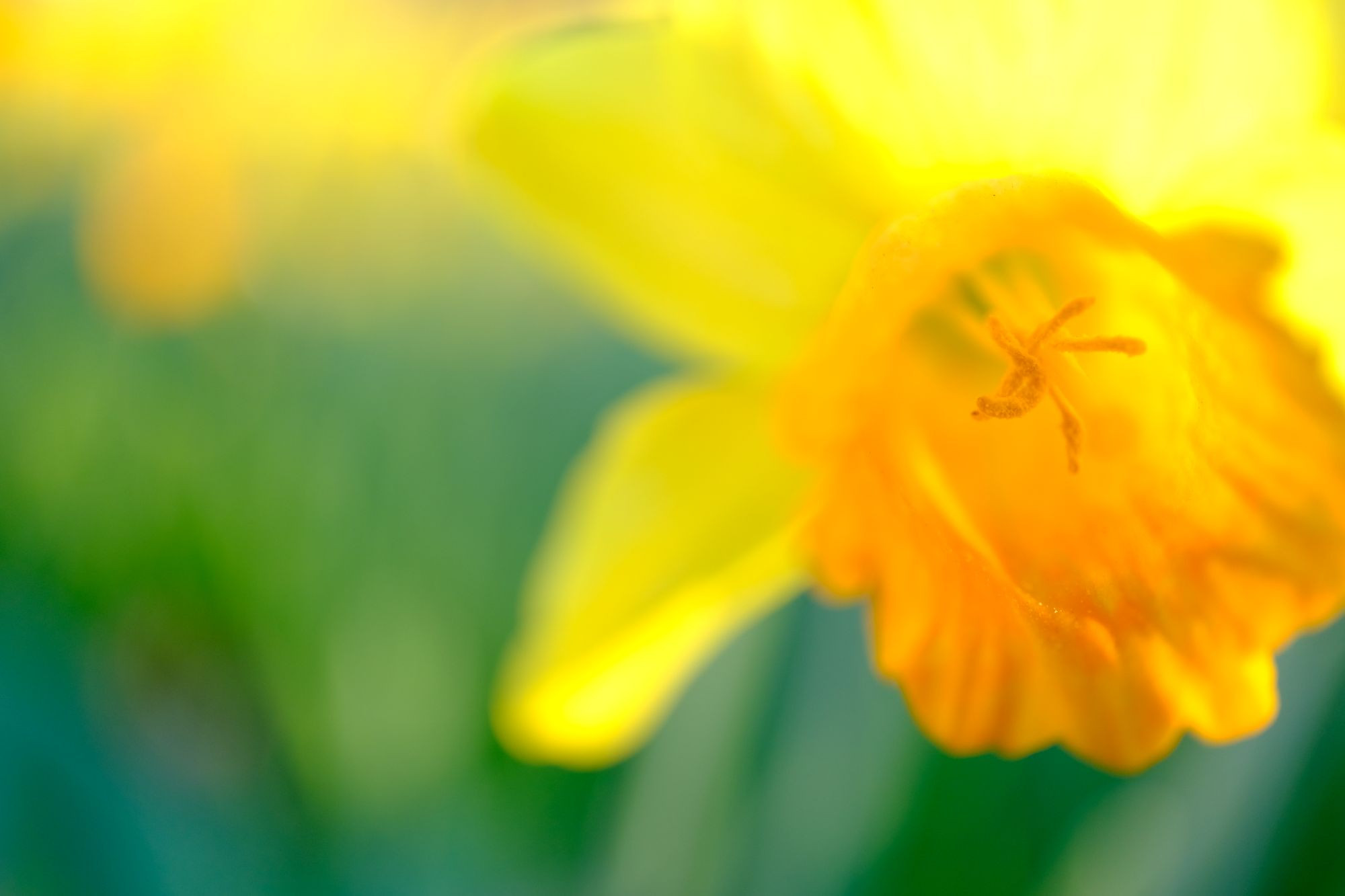 Bild zur Veranstaltung