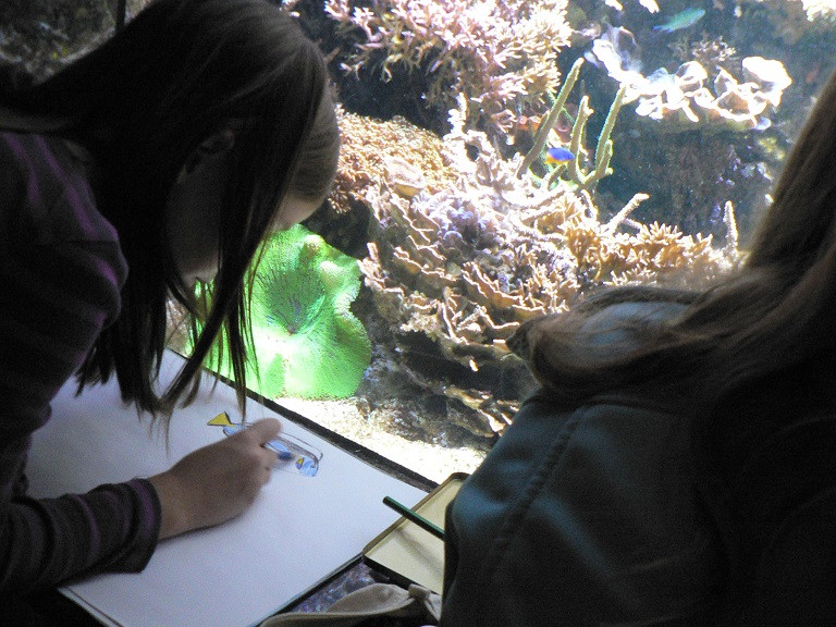 Kinder die neben einem Aquarium malen.