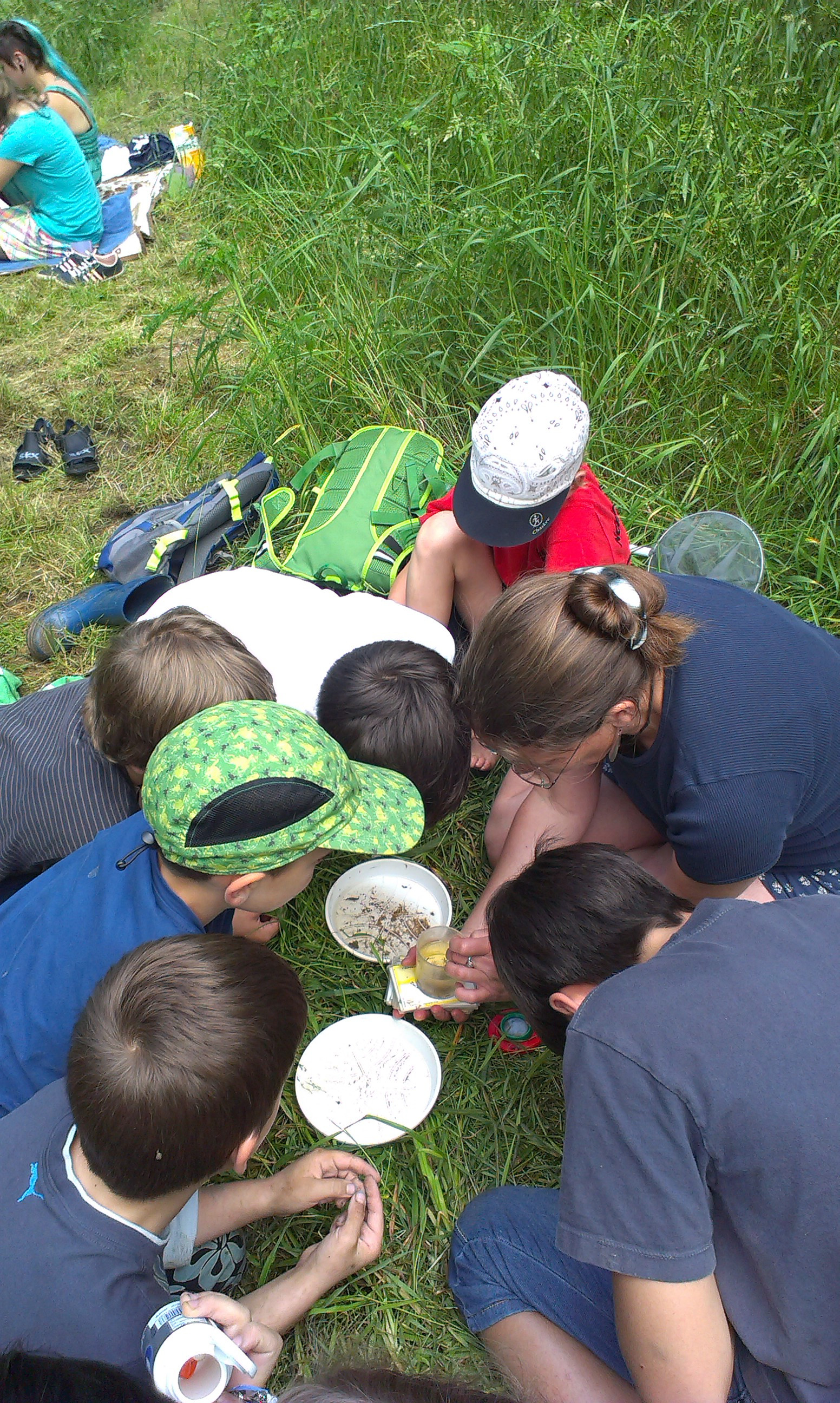 Foto einer Gruppe auf einer Wiese, die verschiedene Dinge untersucht