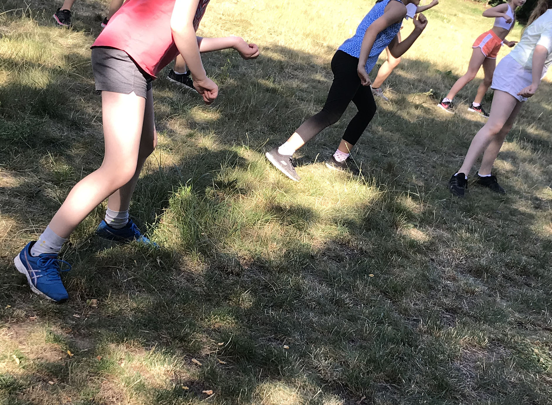 Tanzende Gruppe auf Wiese beim Outdoor Training