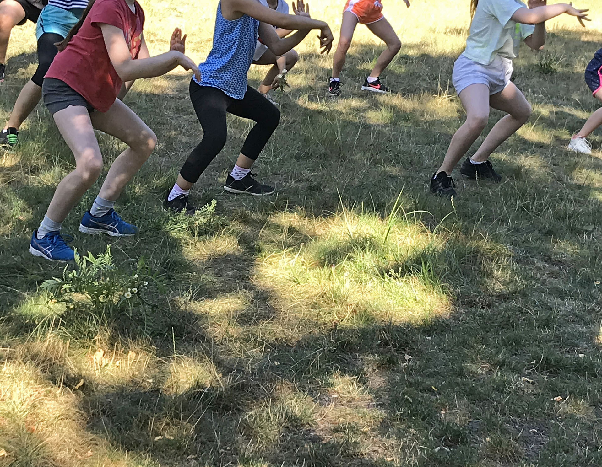 Tanzende Gruppe auf Wiese beim Outdoor Training