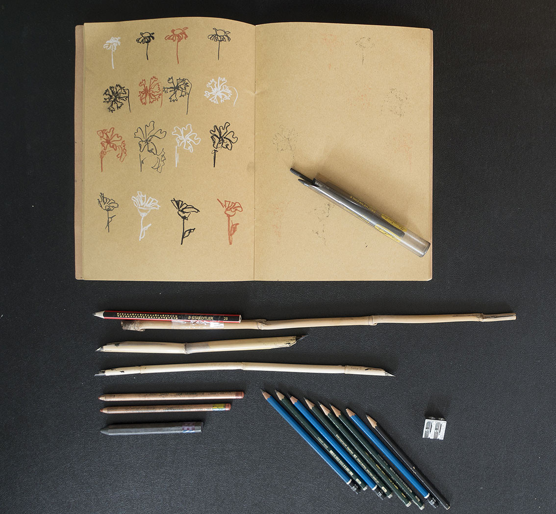 aufgeschlagenes Zeichenheft mit gezeichneter Blütenserie und verschiedene Zeichenwerkzeuge wie Bleistifte, Kohle, Kreide